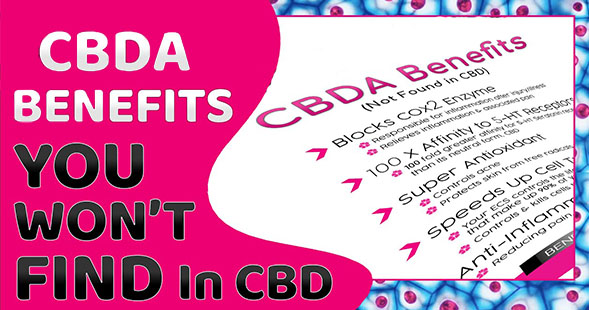 benefits of cbda