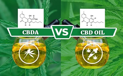 CBD vs CBDA